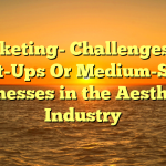 Marketing- Challenges For Start-Ups Or Medium-Sized Businesses in the Aesthetics Industry