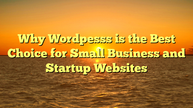 Why Wordpesss is the Best Choice for Small Business and Startup Websites